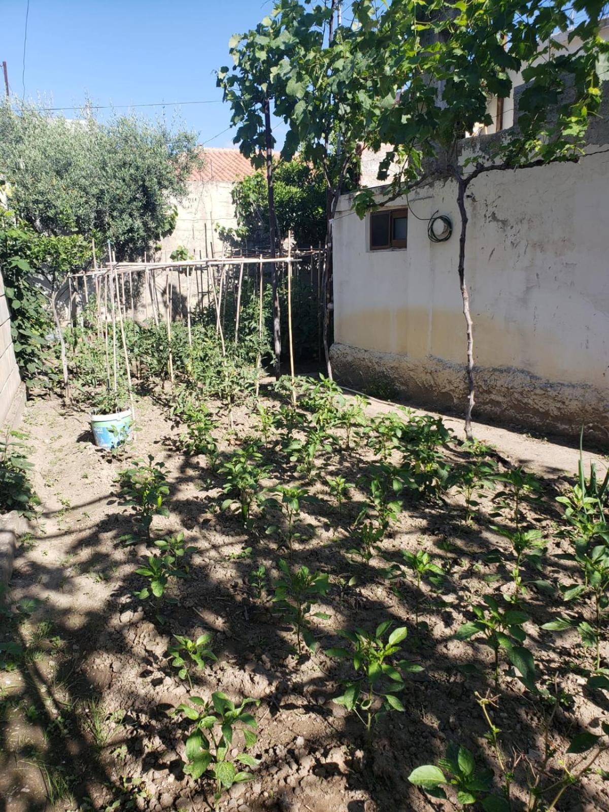Private Room On A Shared Apartament Near Durres Beach Exterior foto